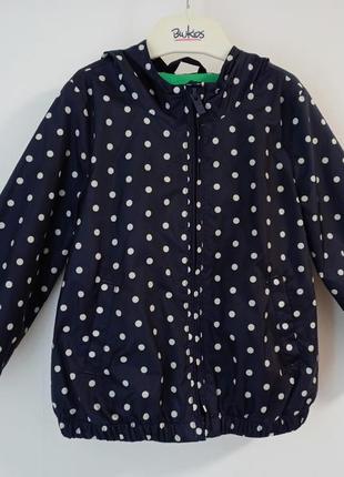 Стильна вітрівка з котоновою підкладкою gap 3.