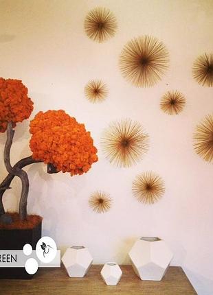 Дерево, топиарий со стабилизированным мхом orange