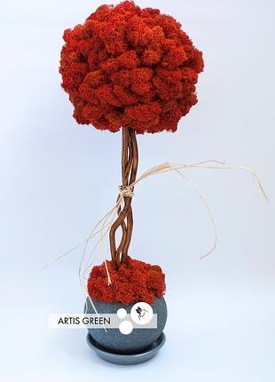Дерево, топиарий из стабилизированного мха red