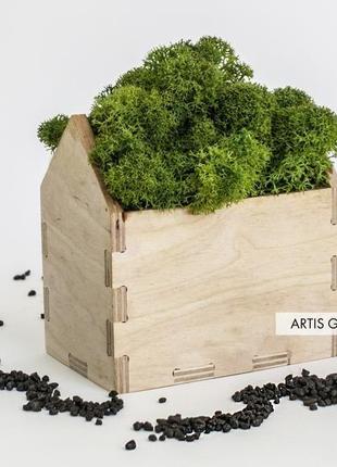 Корпоративний подарунок зі скандинавським мохом moss houses green