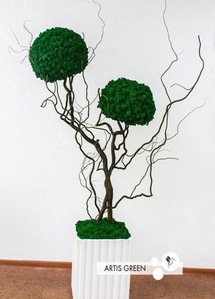 Еко-дерево, топіарій зі скандинавського моху 1,3 м, двоствольне1 фото