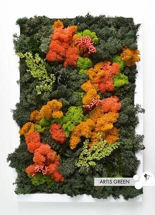 Картина из стабилизированных растений и мха «orange&green»