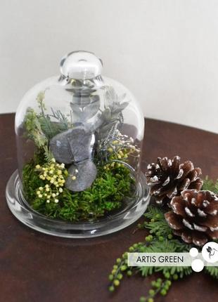 Мини-колба со стабилизированными растениями "little forest"