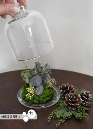 Міні-колба зі стабілізованими рослинами "little forest"3 фото