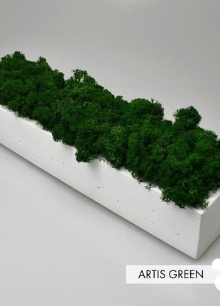 Бетонное кашпо со стабилизированным мхом, green