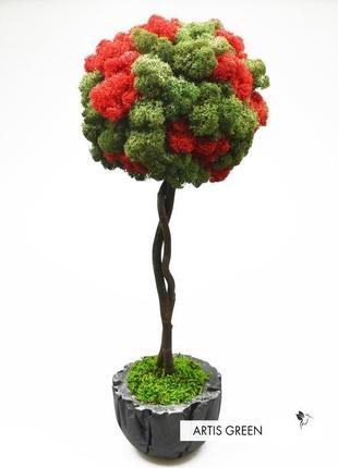 Двухцветное дерево, топиарий из стабилизированного мха, 40 cm