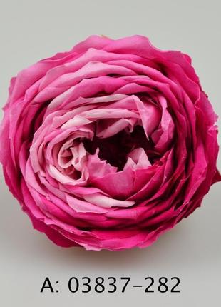 Стабилизированная роза "temari blossom" для флористики и декора
