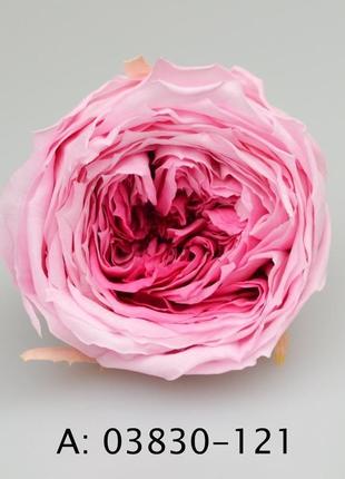 Стабилизированная роза "темари" для флористики и декора1 фото