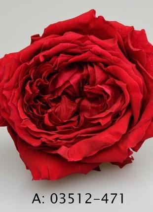 Стабилизированная роза джульетта (juliet) для флористики и декора1 фото