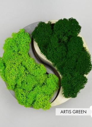 Бетонні кашпо зі скандинавським мохом, «інь і ян»2 фото