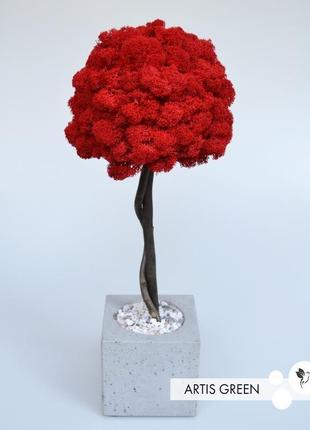 Дерево, топиарий из стабилизированного мха red, 40 cm