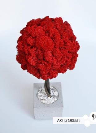 Дерево, топіари з стабілізованого моху red, 40 cm2 фото