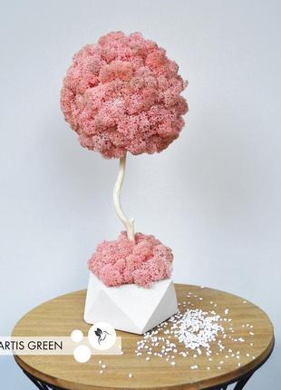 Эко-дерево, топиарий из стабилизированного мха fresh coral, 30 cm