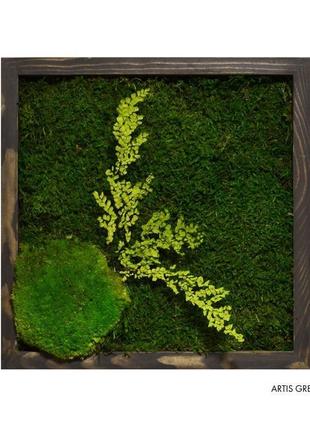 Картина зі стабілізованим мохом і рослинами «forest colors 3»1 фото
