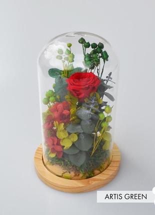 Колба зі стабілізованими рослинами і розою «green&red»2 фото
