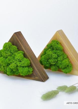 Деревянный треугольник со стабилизированным мхом