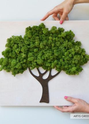 Картина зі стабілізованим мохом "дерево"1 фото