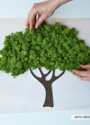 Картина зі стабілізованим мохом "дерево"2 фото