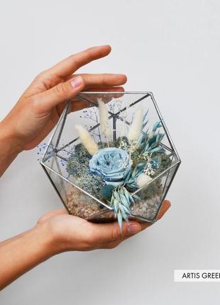 Флорариум со мхом, стабилизированными растениями и розой «blue rose»