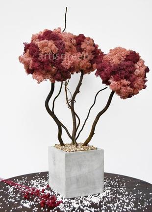 Дерево, топиарий из розового мха. трехствольный бонсай из мха. декор из мха. изделие из мха5 фото