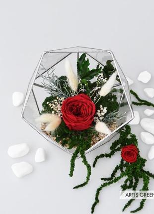 Флораріум зі стабілізованим мохом і червоною трояндою5 фото