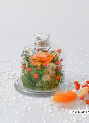 Мини-колба со стабилизированными растениями и оранжевой розой1 фото