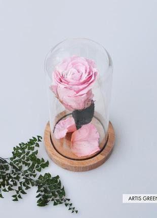 Довговічна рожева троянда на стеблі в скляній колбі4 фото