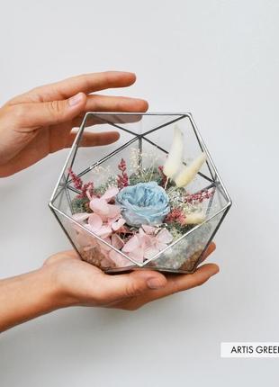 Флорариум со мхом, стабилизированными растениями и розой «blue rose» 2.0