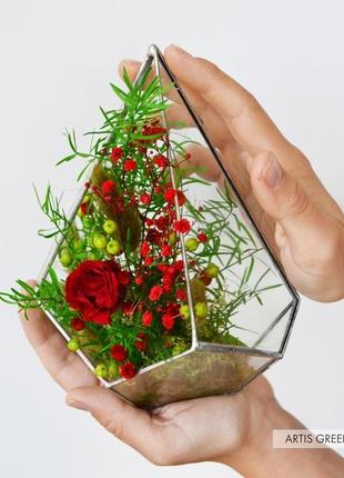 Флорариум-капля со стабилизированными растениями и розой, красная5 фото