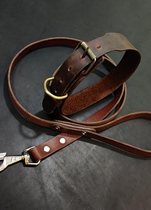 Кожаный ошейник, поводок, для крупной и средней породы собак, модель manhattan