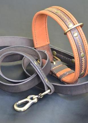 Шкіряний нашийник і повідець для собак крупної породи, модель viking