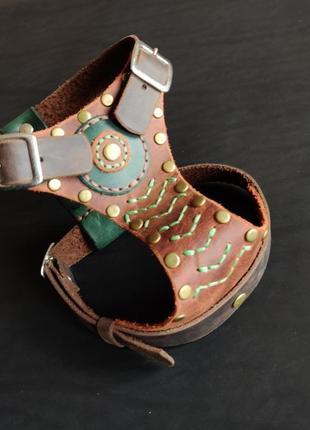 Шлея для собак, шлейка для собак, для дрібних та середніх порід собак, модель viking