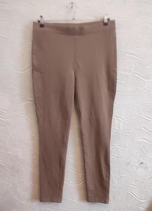 Брюки лосіни жіночі