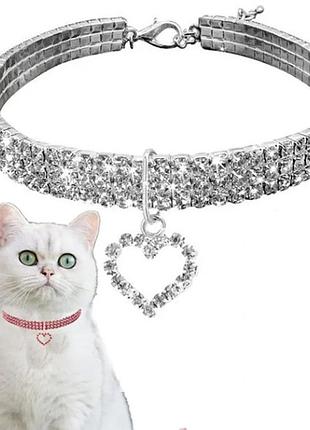 Нашийник для кішки сріблястий із камінням