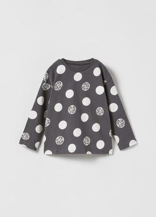 Новый реглан от zara, размер 3/4 года (104см)