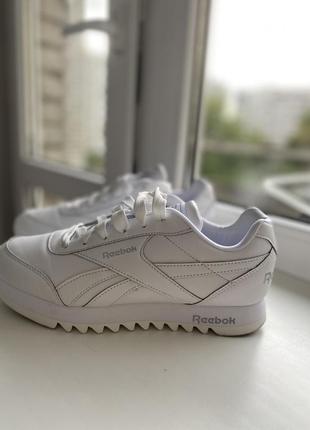 Кросівки reebok