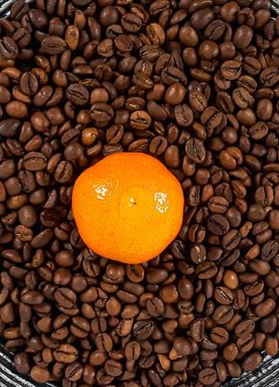 Кава в зернах 100% робуста індонезія java baron свіжого обсмаження 1 кг