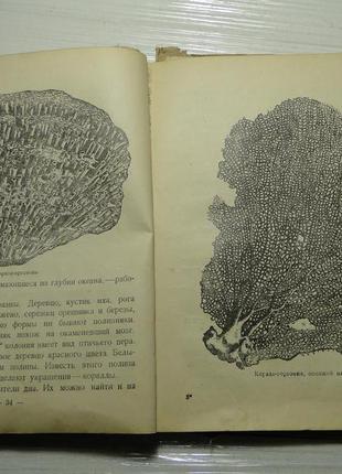 У морській глибині 1937 р.4 фото