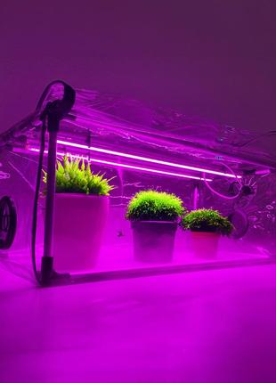 Автоматический проращиватель для растений и рассады - greencap bicolor, с увлажнителем и фитолампами.