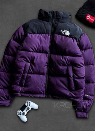 Зимові парки the north face