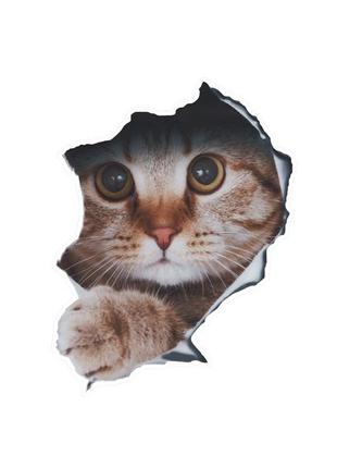 Наклейка на авто aiwa кот 3d 02136