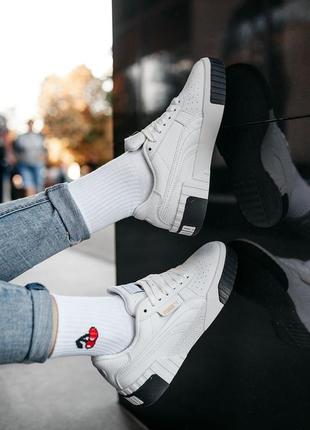Puma 6