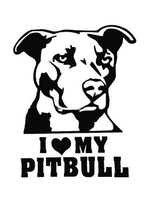 Наклейка на авто aiwa 02599