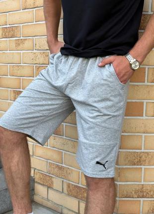 Шорти пума