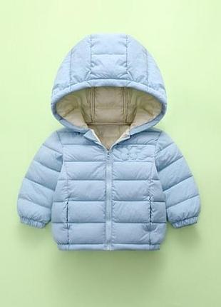 Куртка, курточка