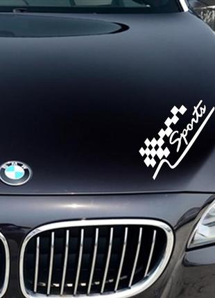 Наклейка на авто aiwa 02656