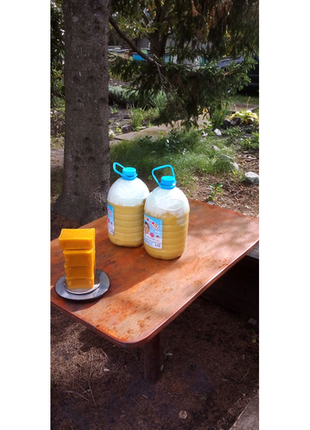 Мёд разнотравья с подсолнухом3 фото