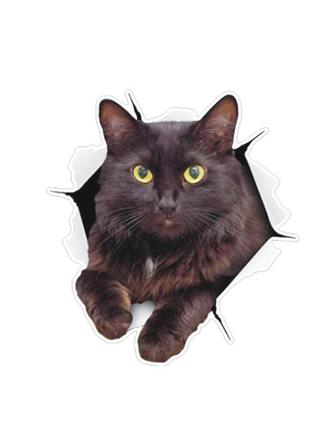 Наклейка на авто aiwa кот 3d 02137