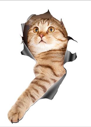 Наклейка на авто aiwa кот 3d  00806