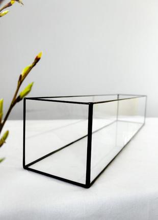 Флорариум. стеклянный флорариум, моссариум прямоугольный без наполнения, длинна 50 см, высота 10 см2 фото